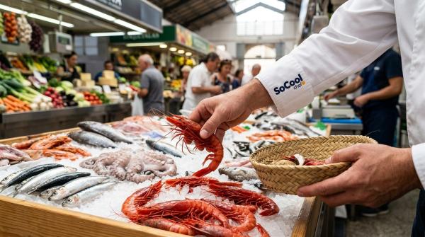 SoCool private chef selecting fresh red prawns at a local Mediterranean market in Mallorca.